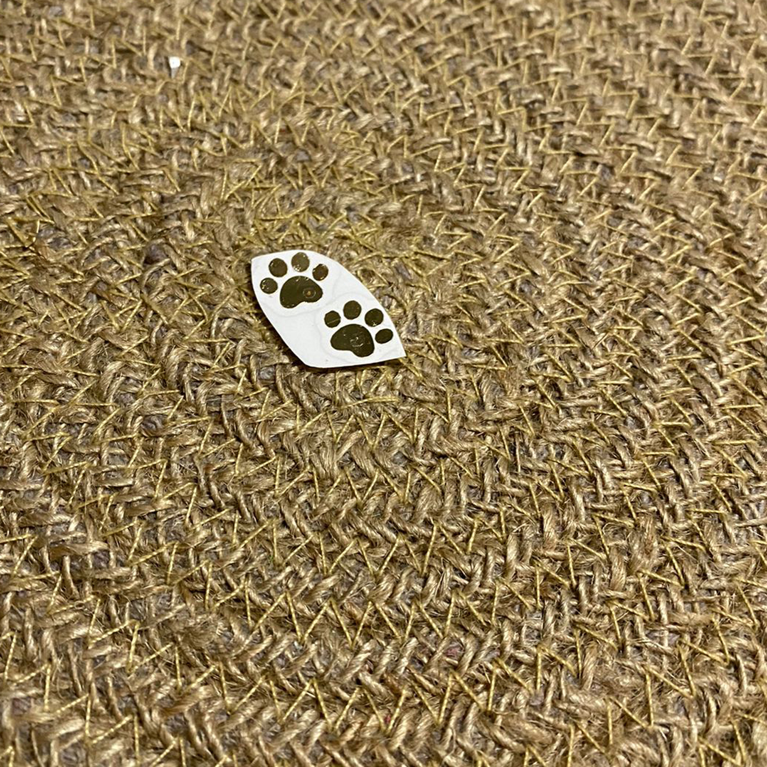 Dog Paw