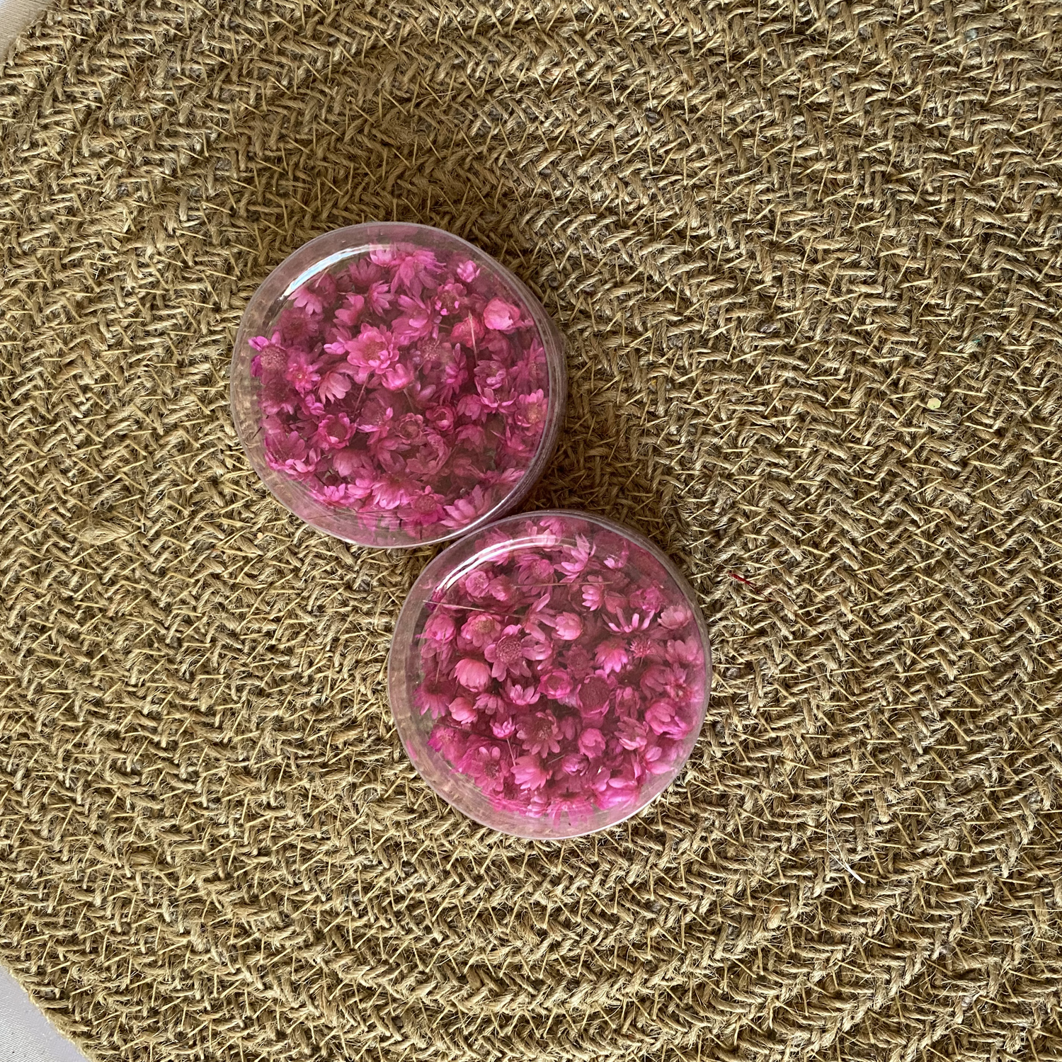 Pink Mini daisy