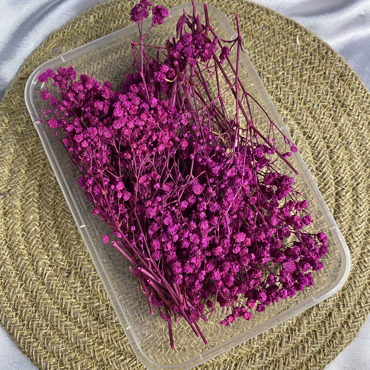 Magenta Gypsy/Baby breathe
