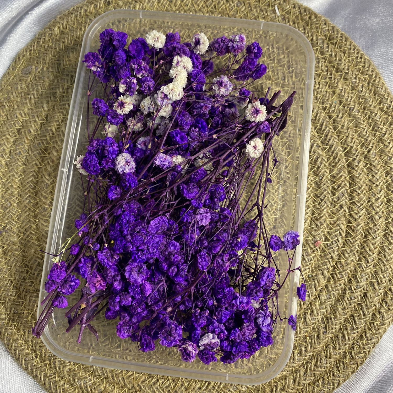 Purple Gypsy/Baby breathe