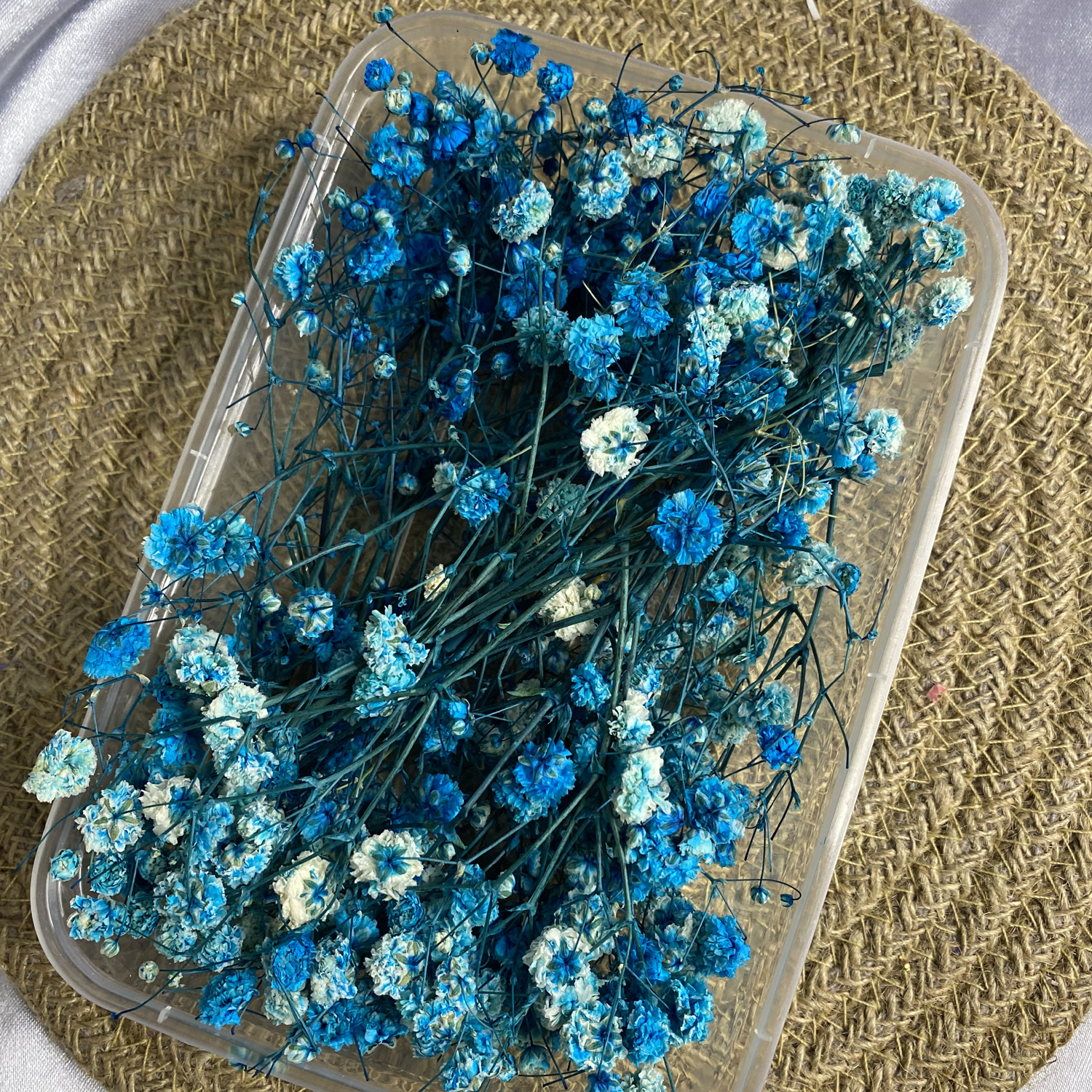 Blue Gypsy/Baby breathe
