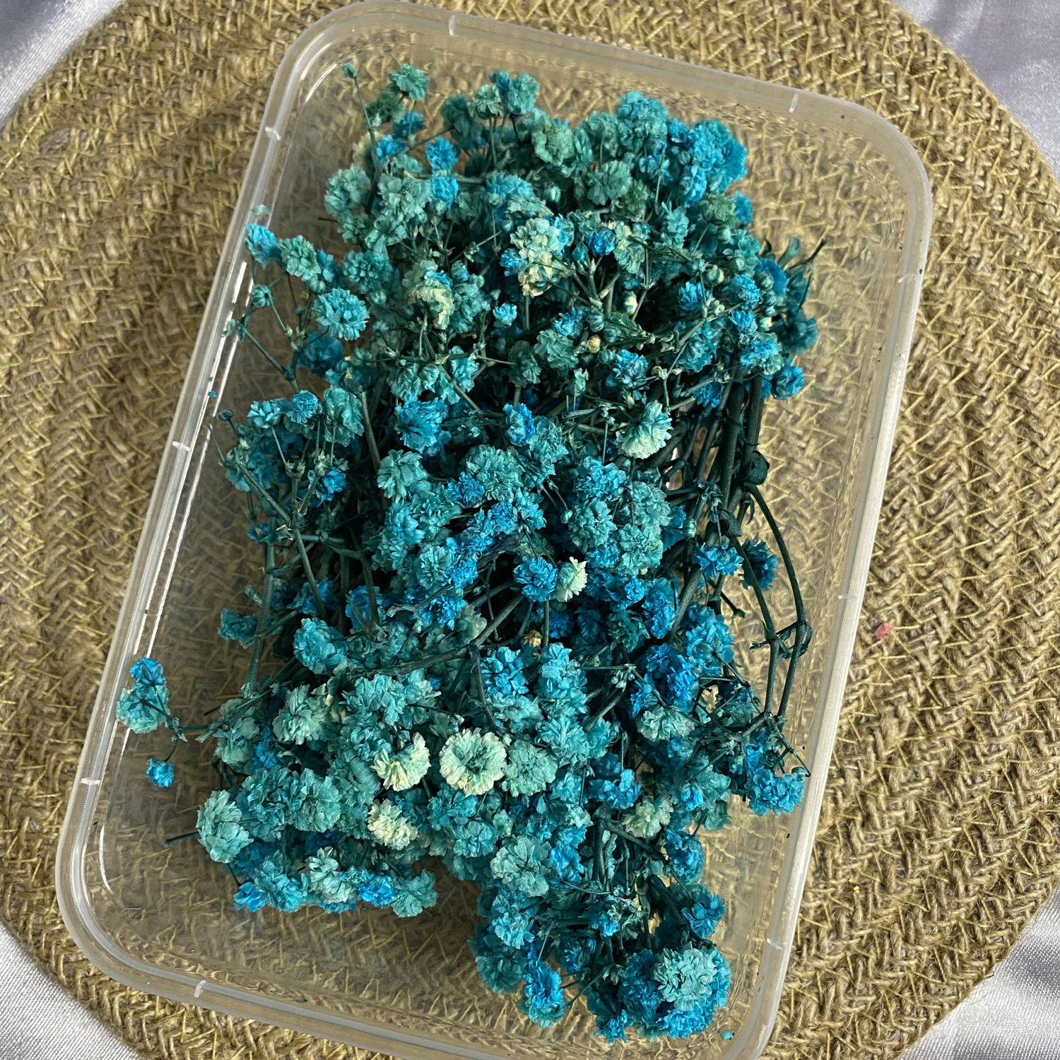 teal color Gypsy/Baby breathe